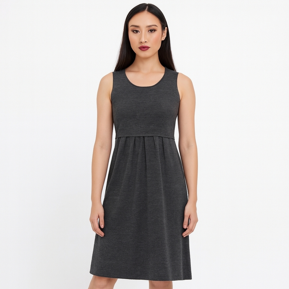 Eileen Fisher Merino Wool Fit & Flare Dress Petite Small